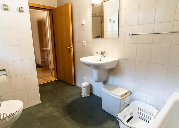 Haus Cotton 4.5 Appartement Mörel